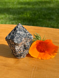 Black Tourmaline in Quartz Point