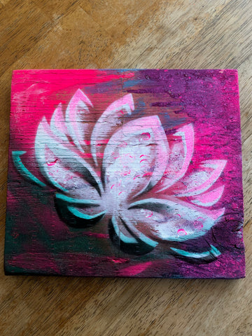 Purple Haze Lotus